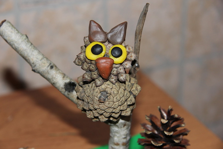 Owl of cones