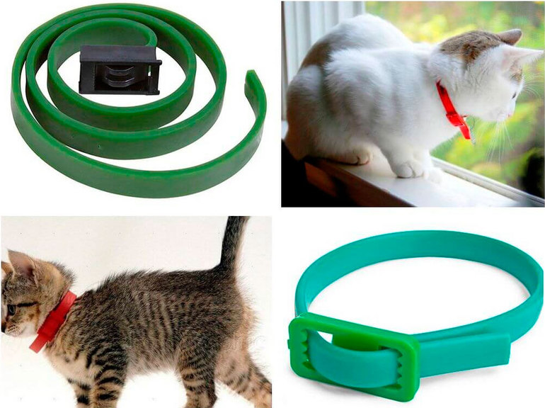 Anti-mite collar,