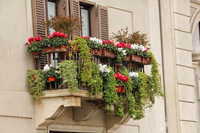 Balconul francez așa cum arată