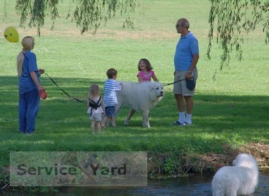 How to wash grass