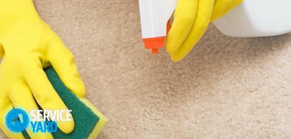 cleaning stain on a carpet with a sponge